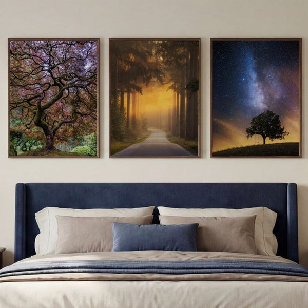 Dreamy Woodlands