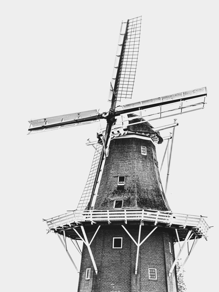 Dutch Windmill On White Background