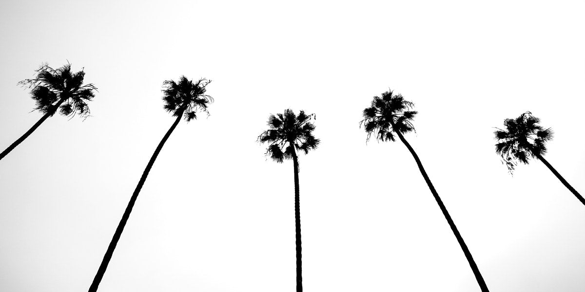 Shot by Clint - Banner image