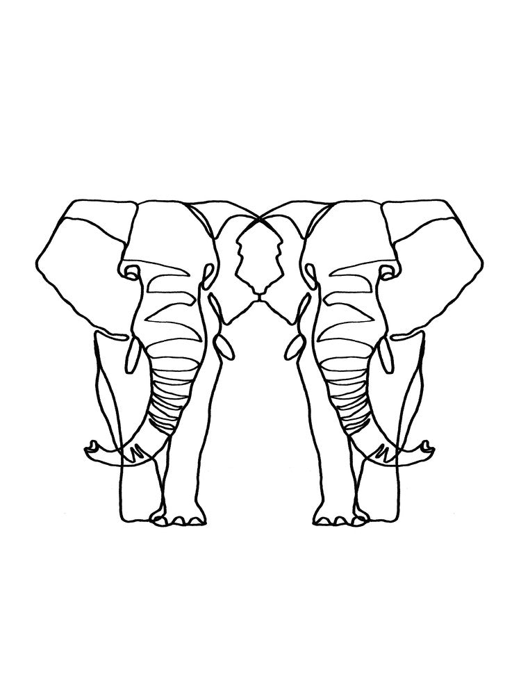 Elephant Lines