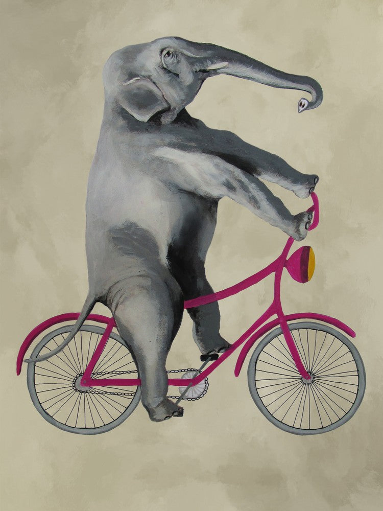 Elephant On Bicycle