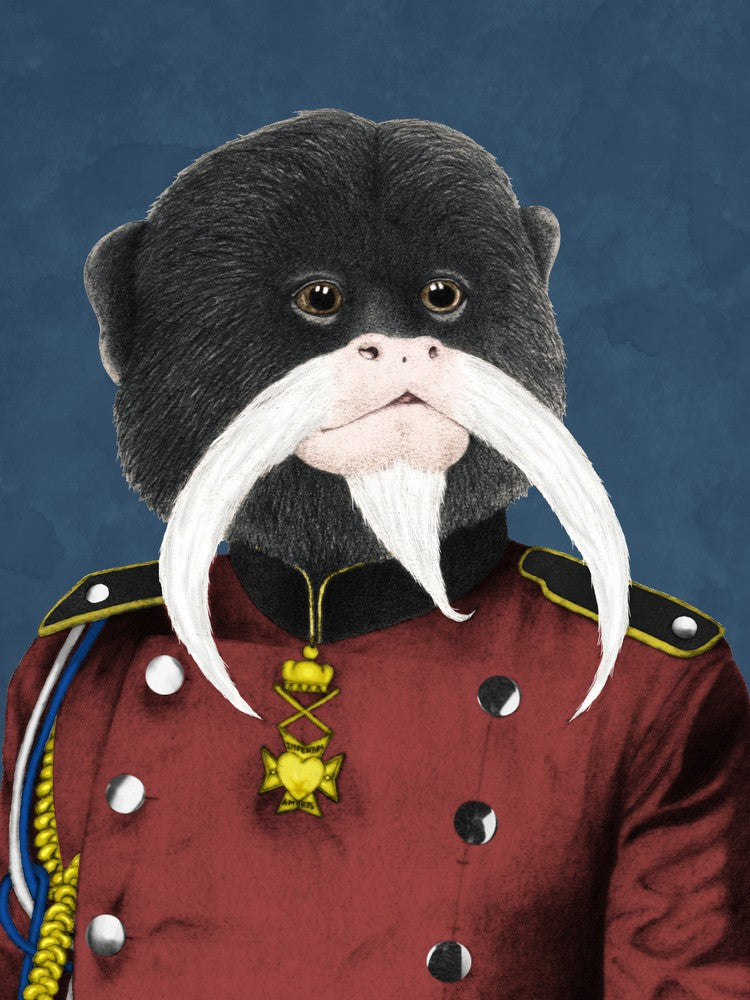 Emperor Tamarin
