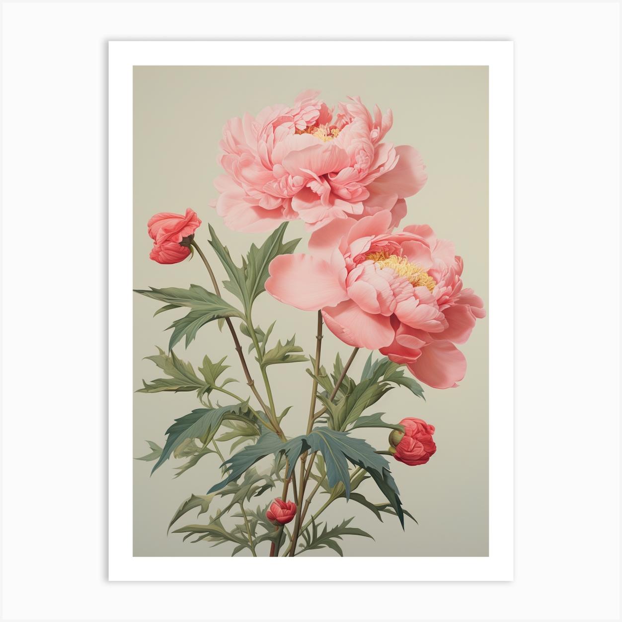 Peony Wildflower In Green Field 4