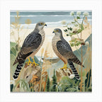 Bird In Nature Eurasian Sparrowhawk 1
