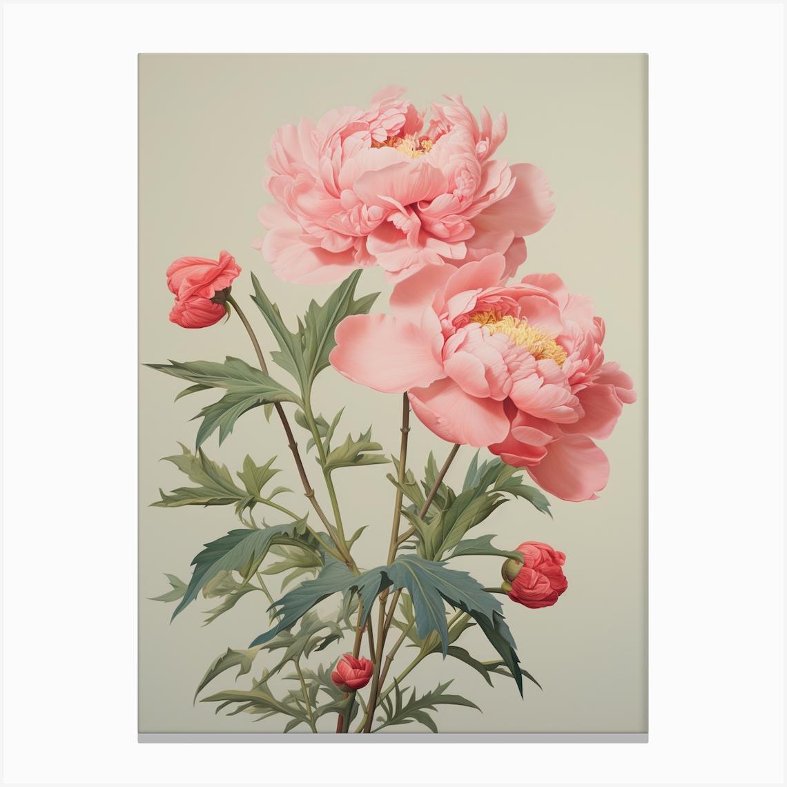 Peony Wildflower In Green Field 4