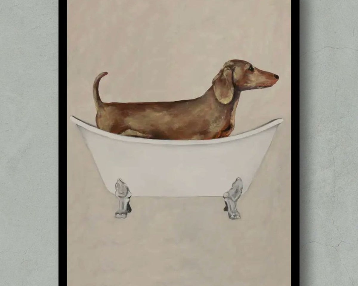 Framed print of a dachshund in a roll-top bath on a grey wall