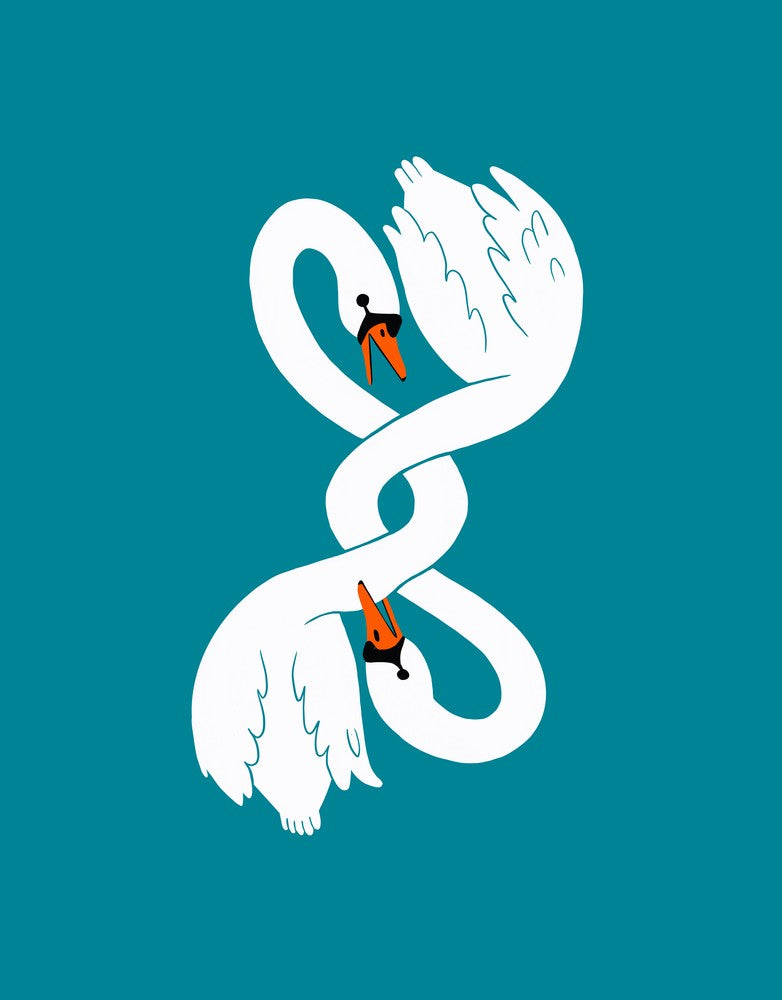 Fighting Swans