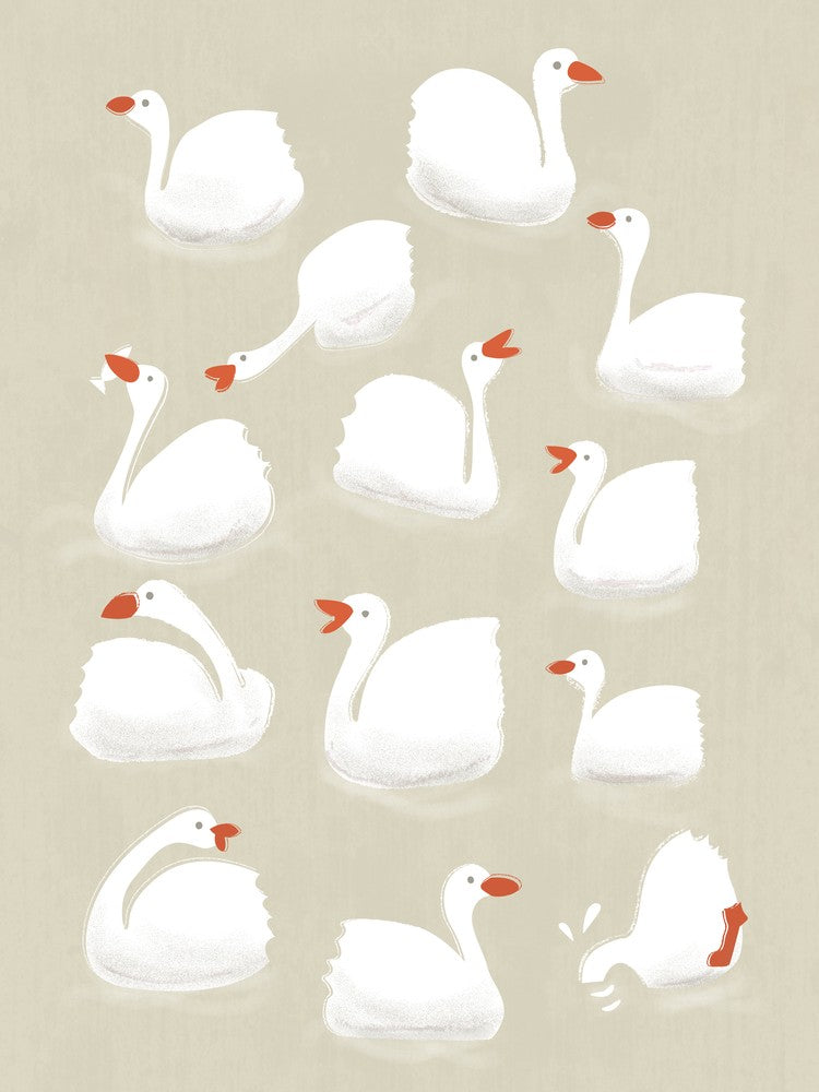 Flock Of Geese