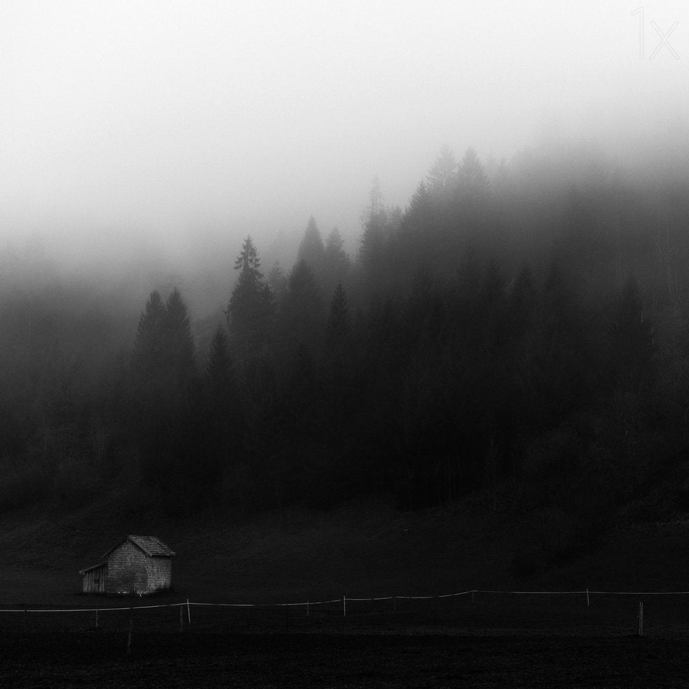 Misty Forest Cabin