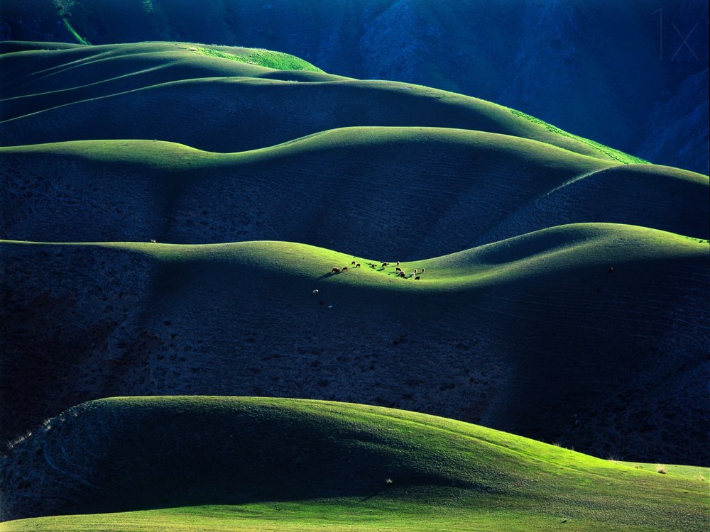 Hills of Light and Shadow