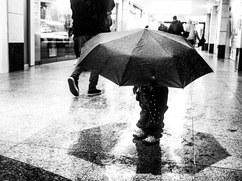 Small Child Big Umbrella