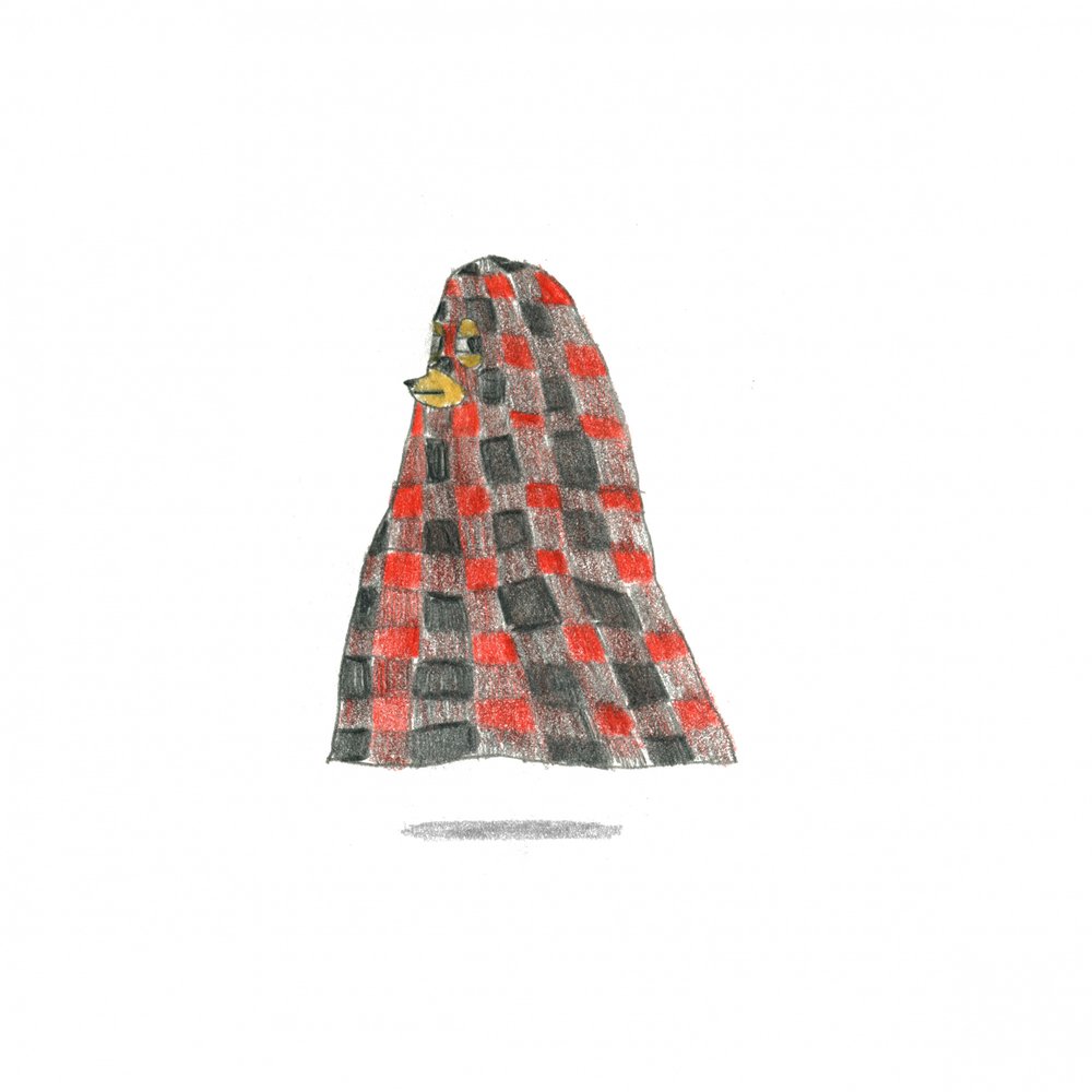 Cozy Checkered Friend