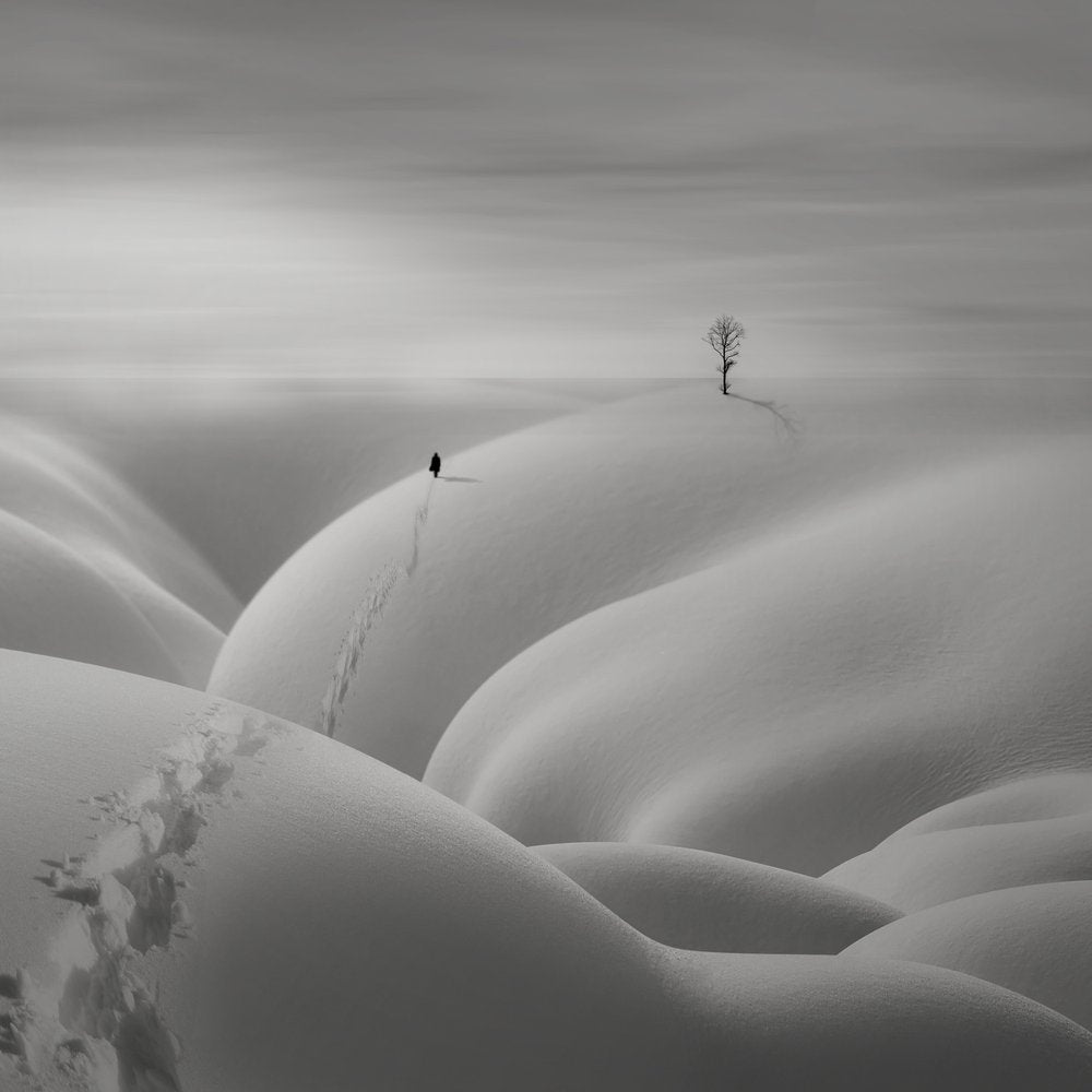 Lone Figure Winter Path
