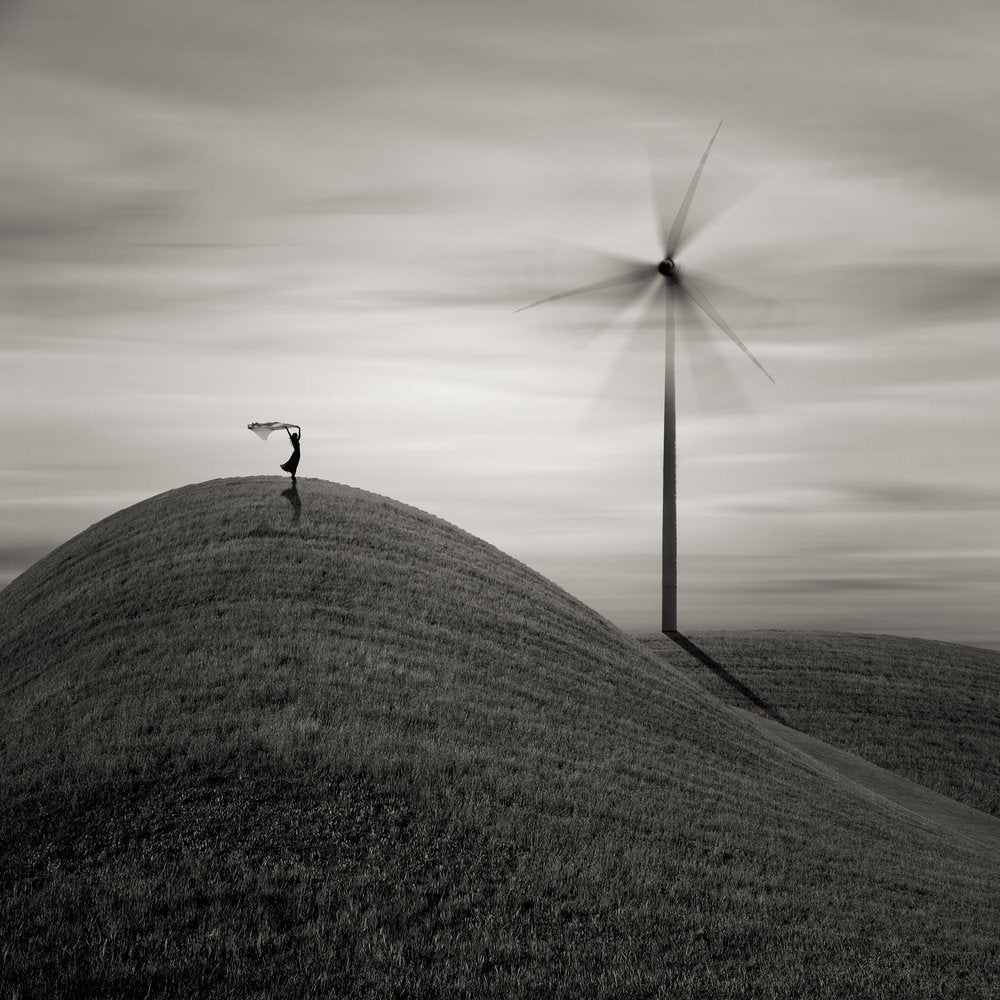 Graceful Wind Landscape