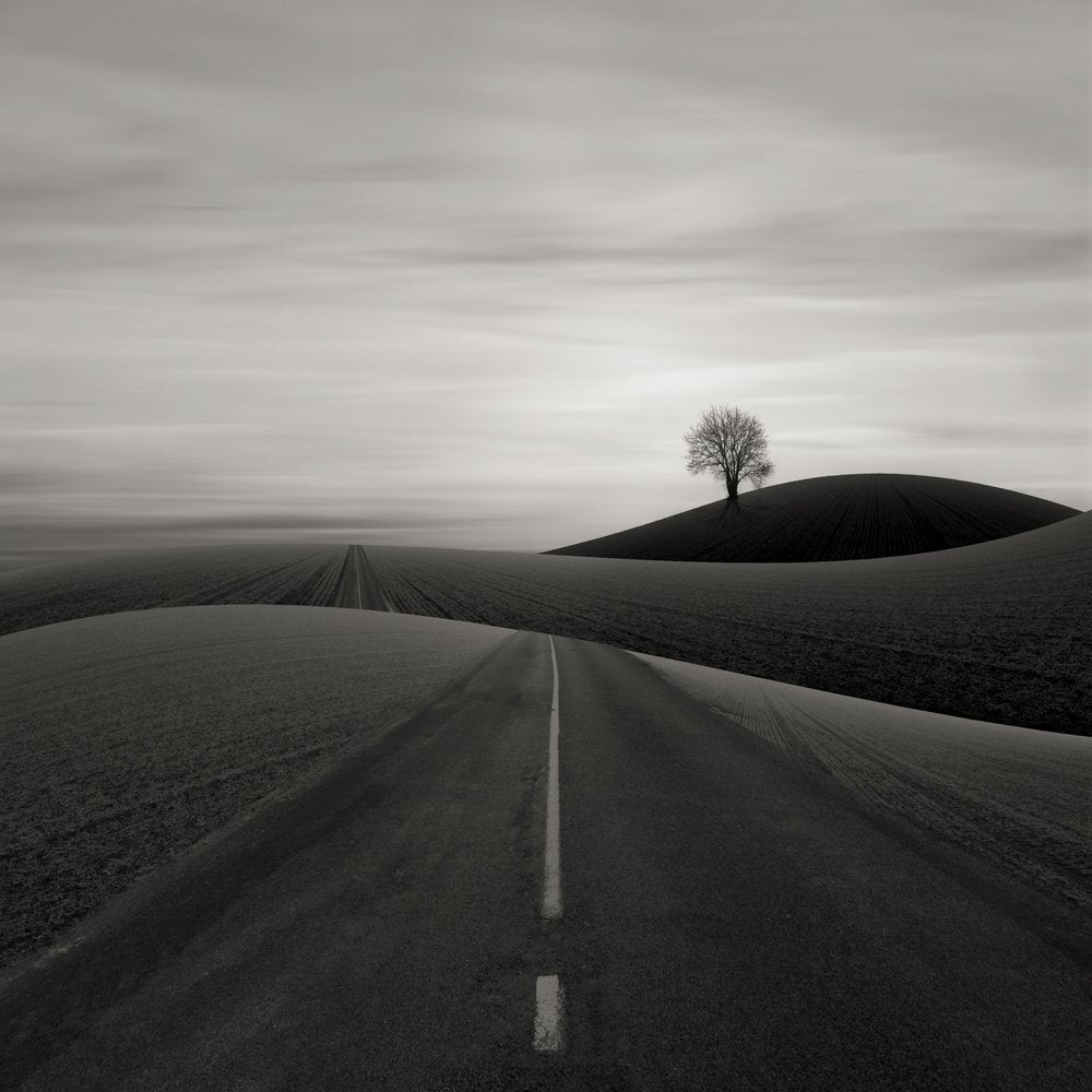 Endless Road Solitary Tree