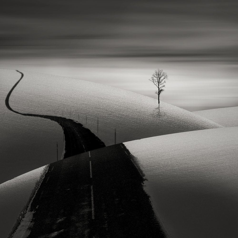 Winding Road Lone Tree