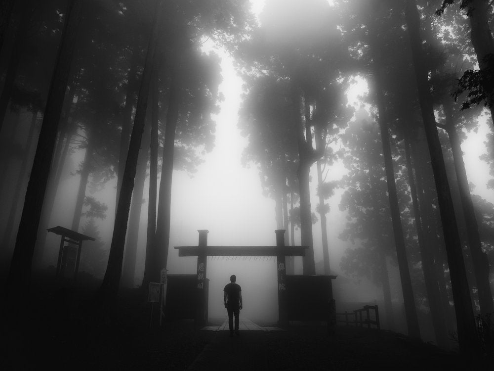 Misty Forest Gateway