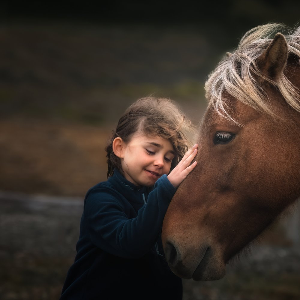 Tender Horse Friendship