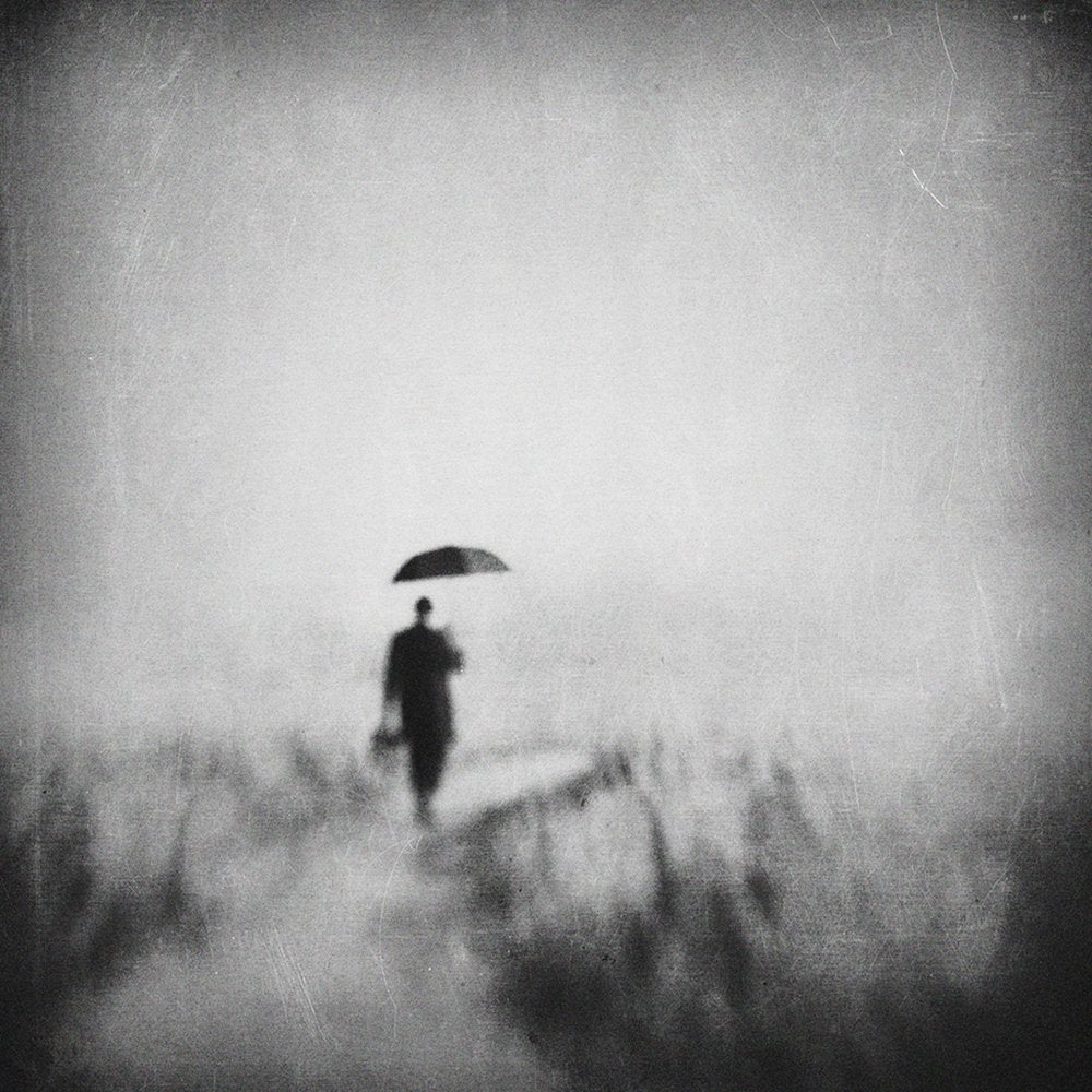 Man Walks Misty Path