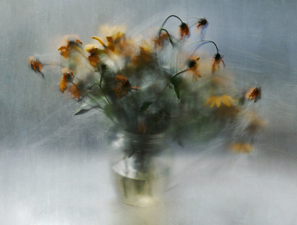 Dreamy Fading Flowers