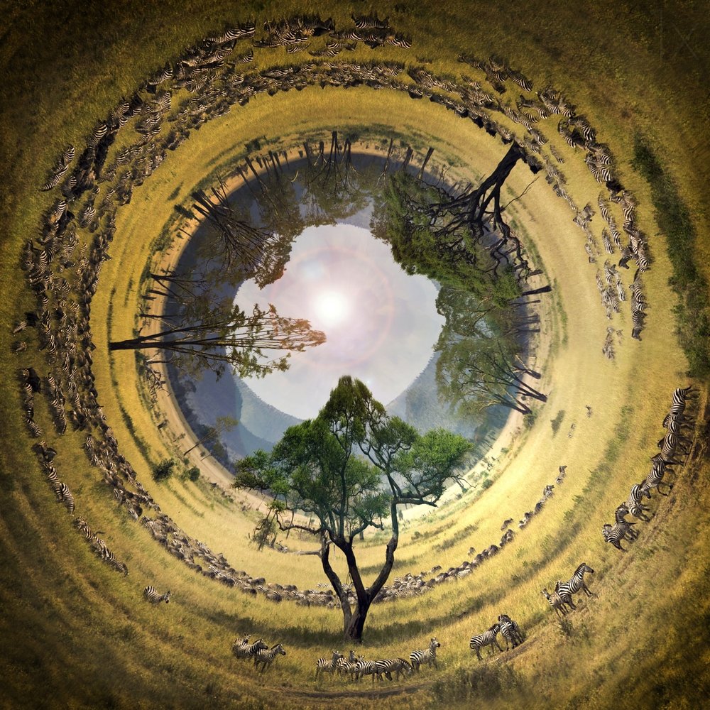 African Safari Planet