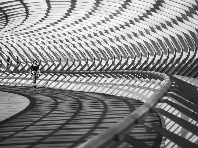 Walking Through Shadows