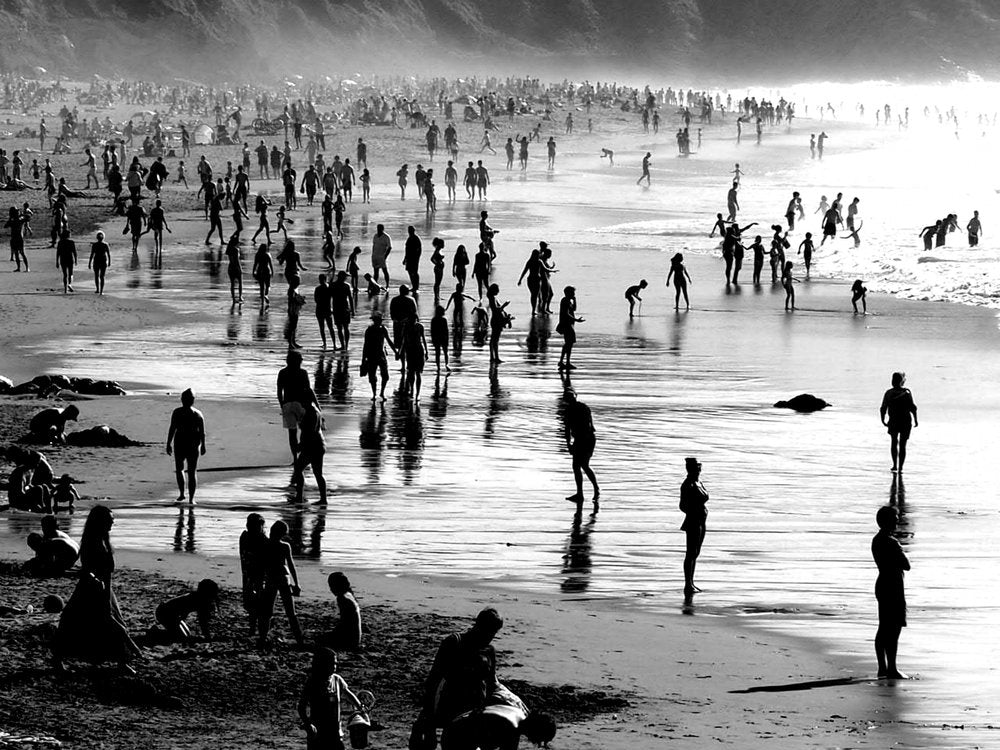 Silhouettes On The Shore