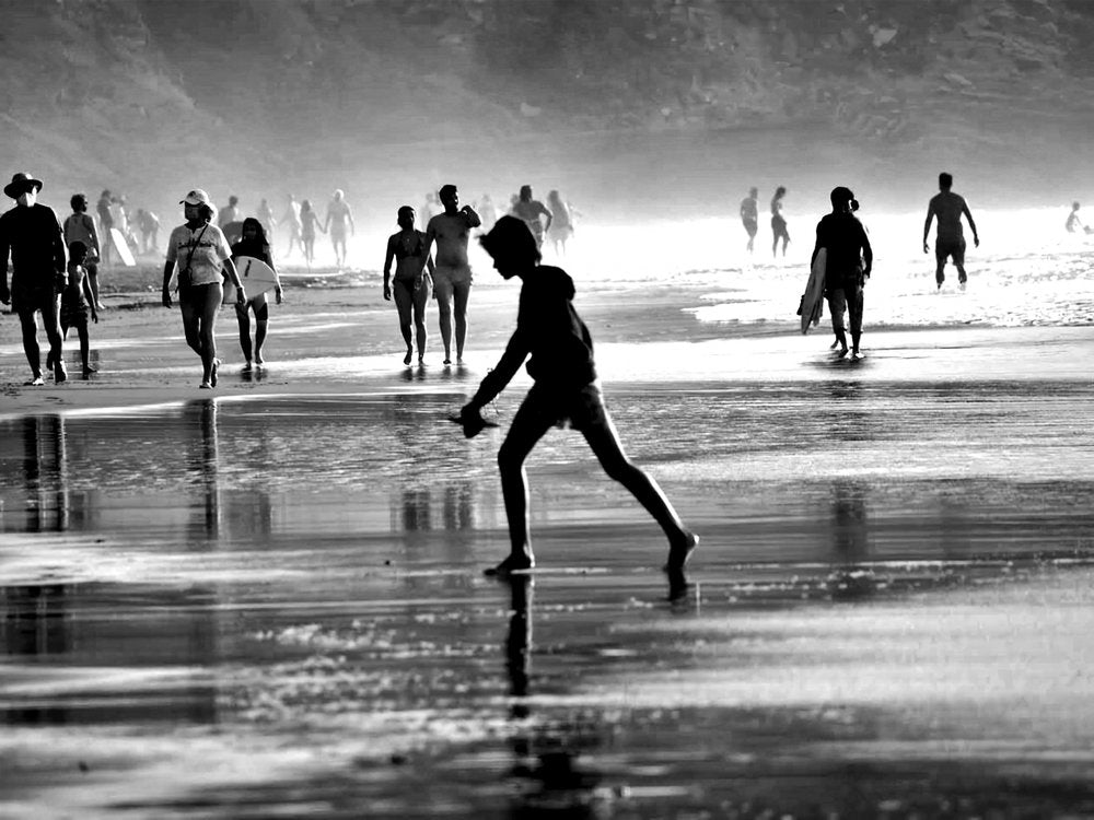 Coastal Morning Silhouettes