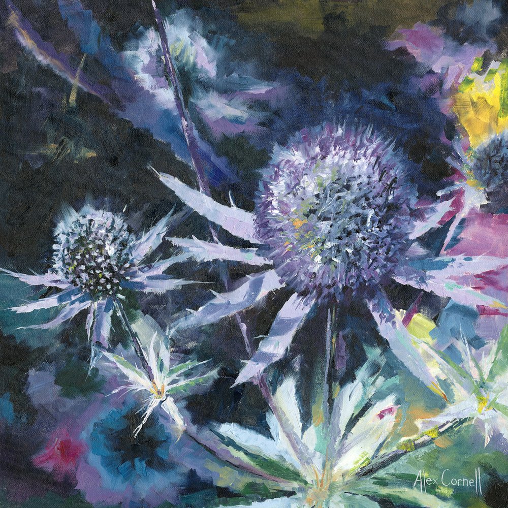 Blue Thistle Blooms