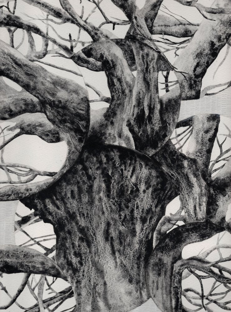 Old Gnarled Tree Trunk
