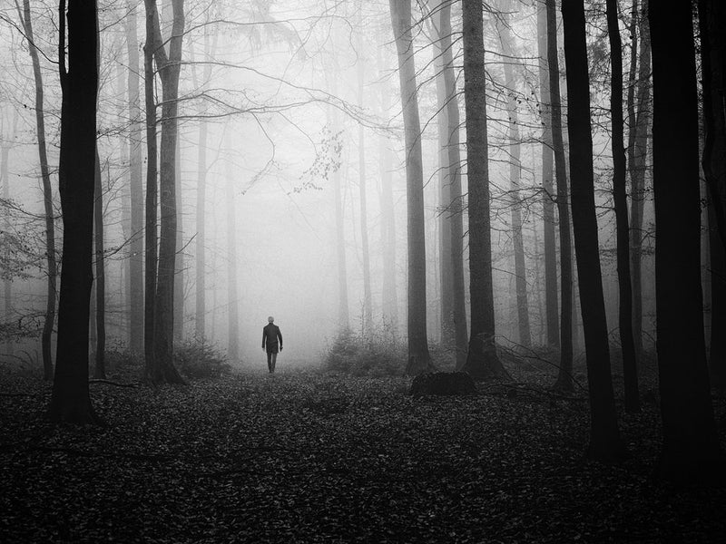 Mysterious Forest Walk