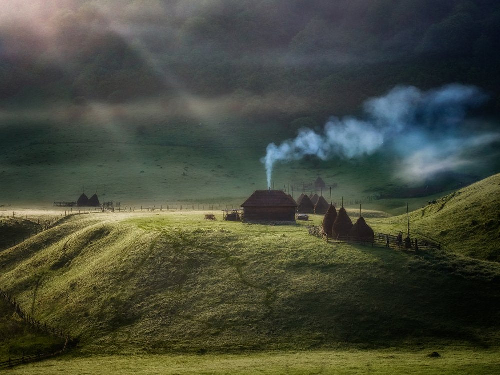 Misty Morning Farm