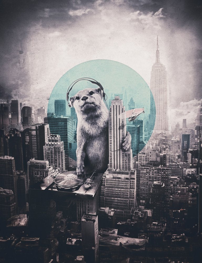 Urban Otter DJ