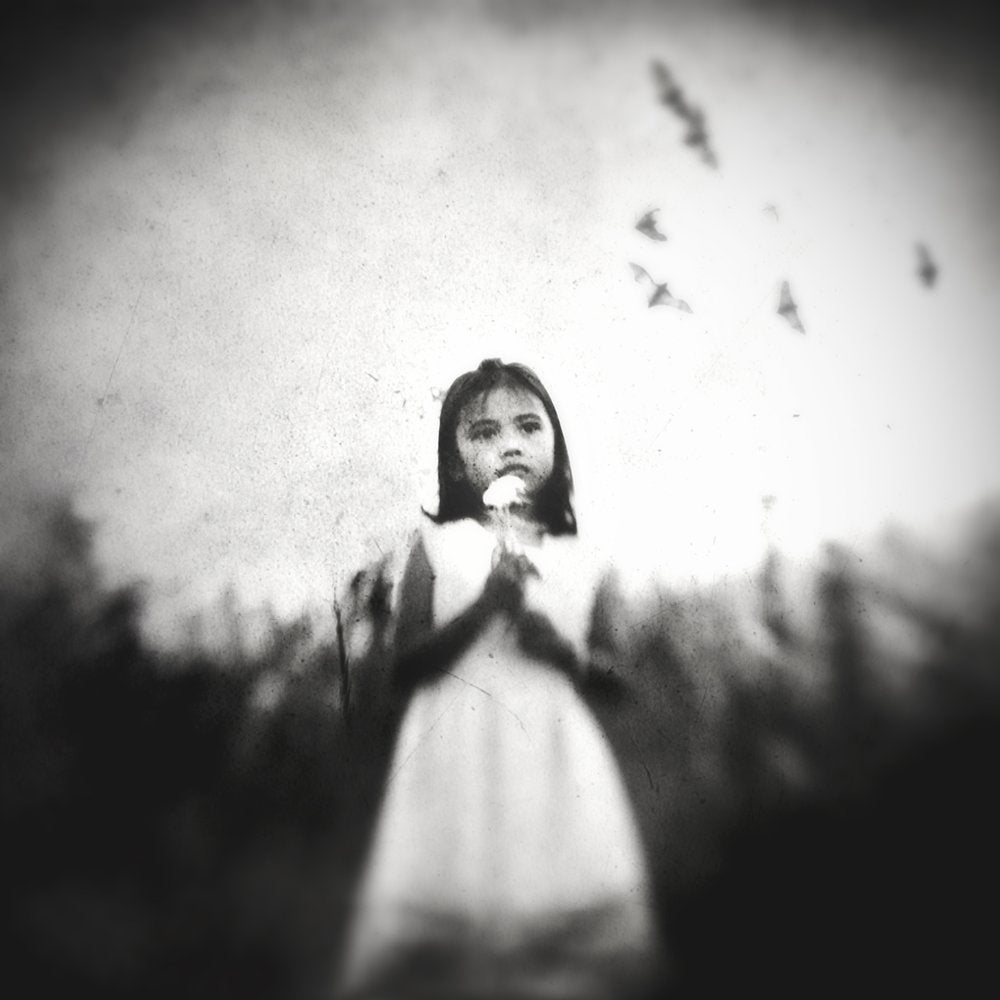 Wistful Child and Birds