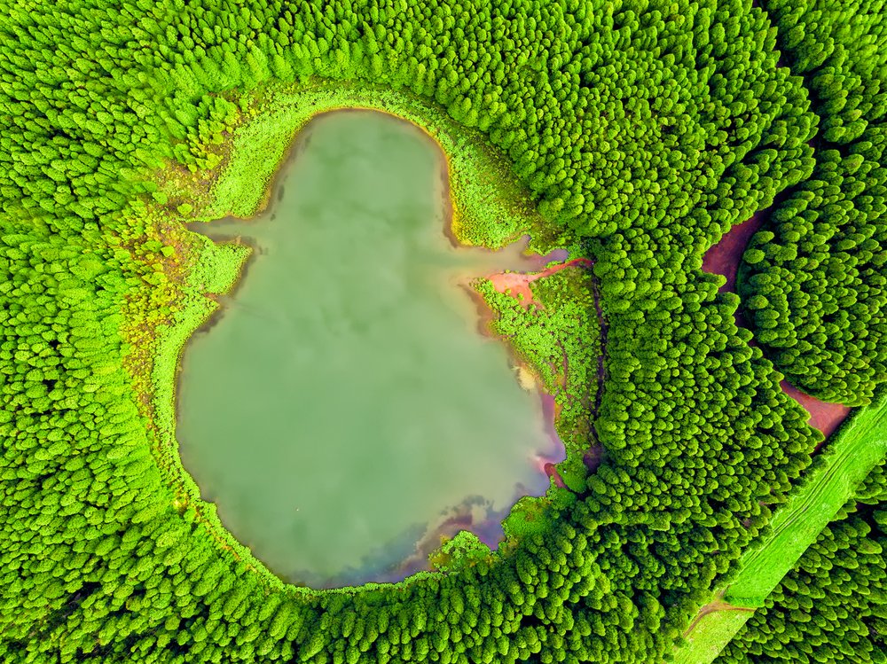 Forest Heart Lake