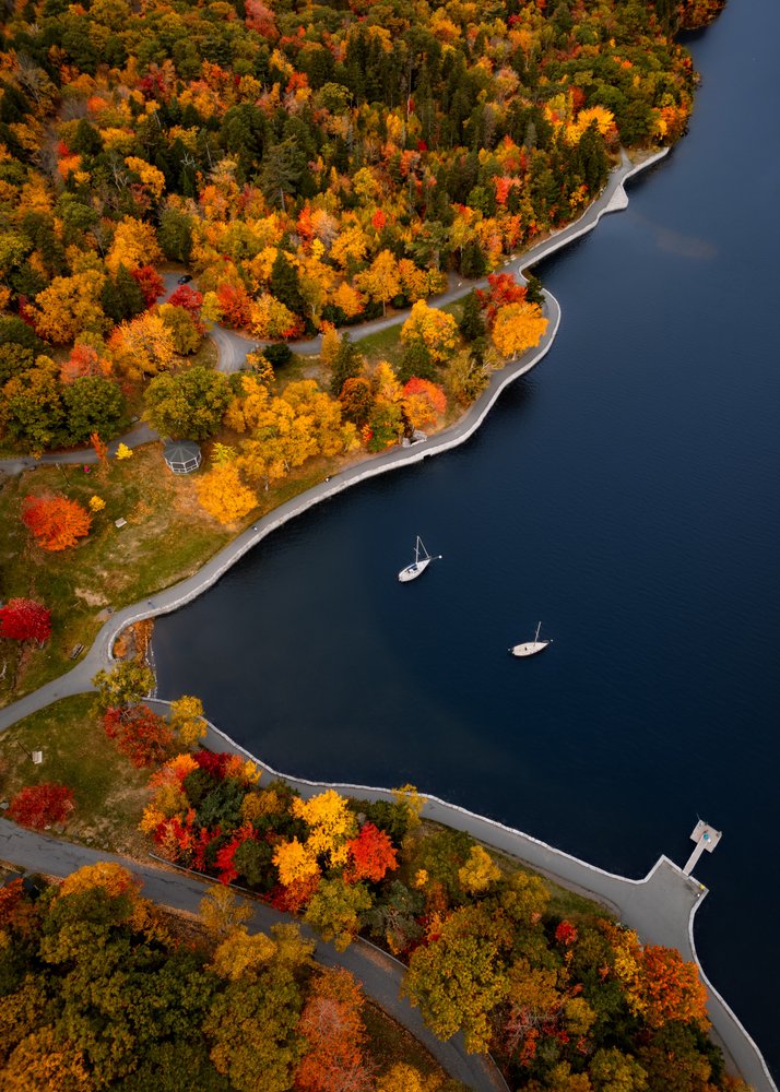 Autumn Lake Sailboats