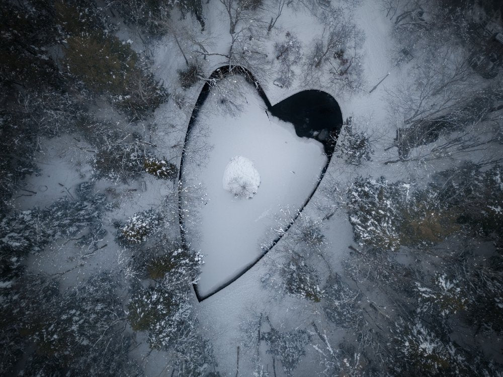 Snowy Heart Forest