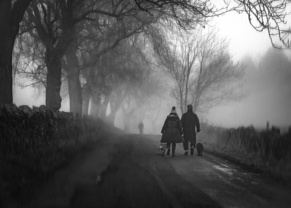 Couple Dogs Misty Road
