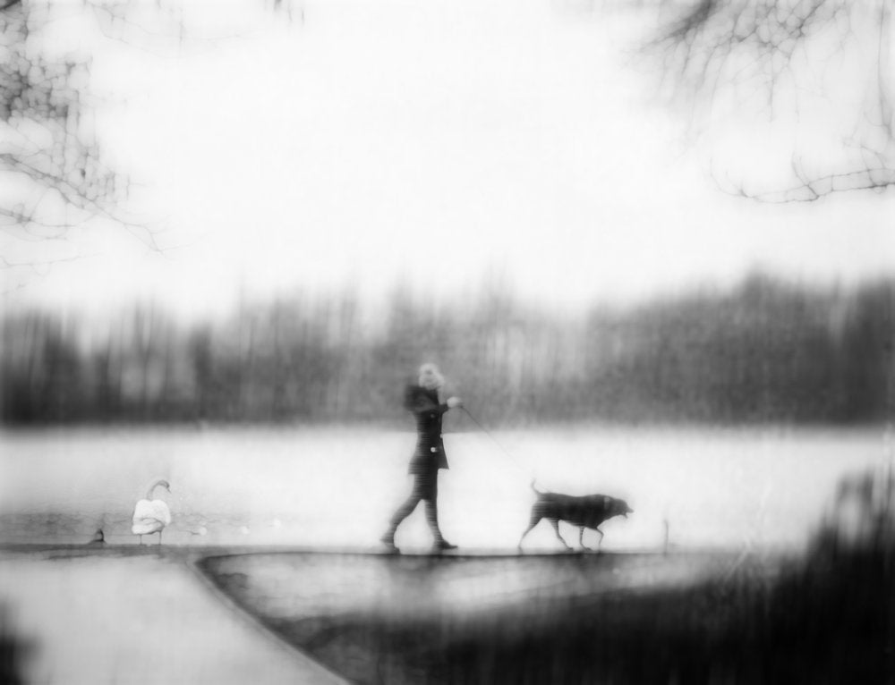 Dreamy Lakeside Walk