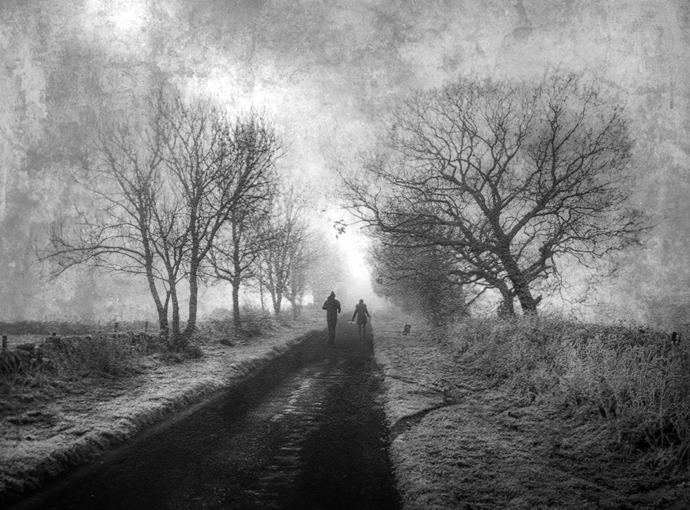 Misty Winter Path