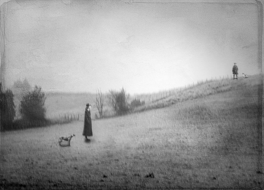 Solitary Walk in Misty Field