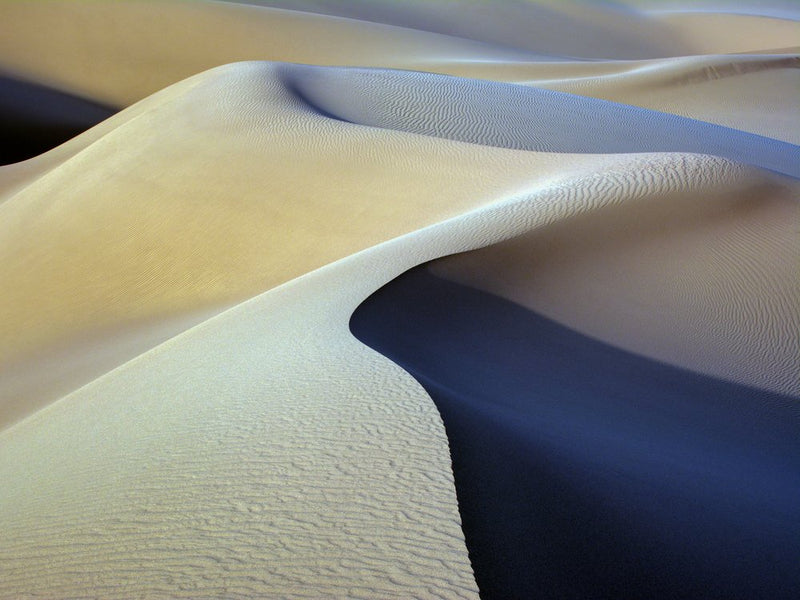 Dune Shadows and Light