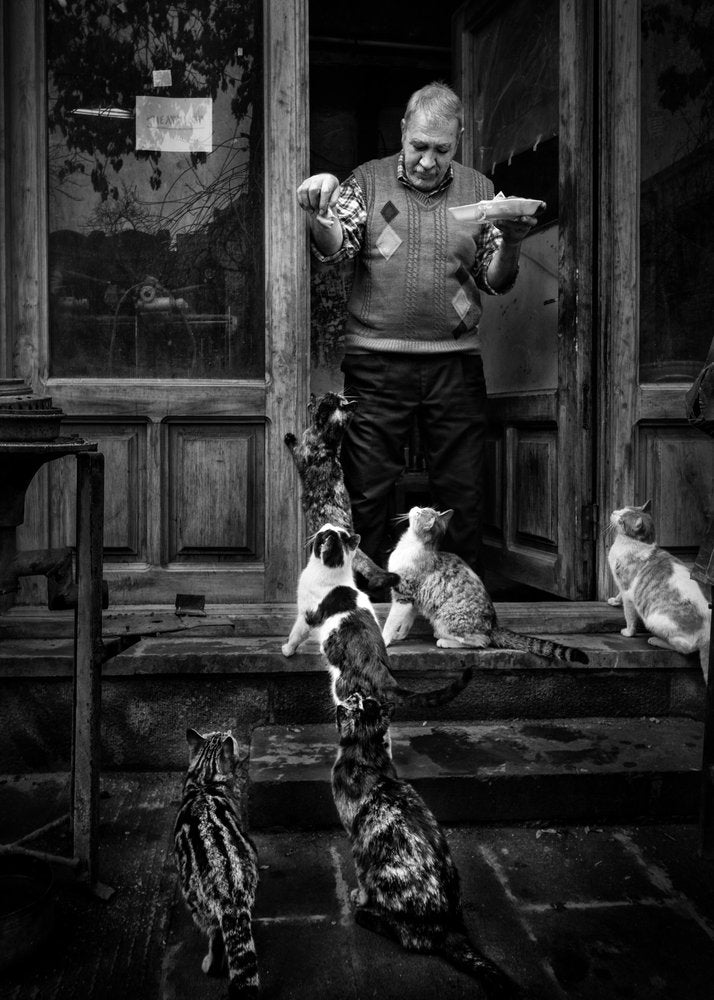 Man Feeding Street Cats