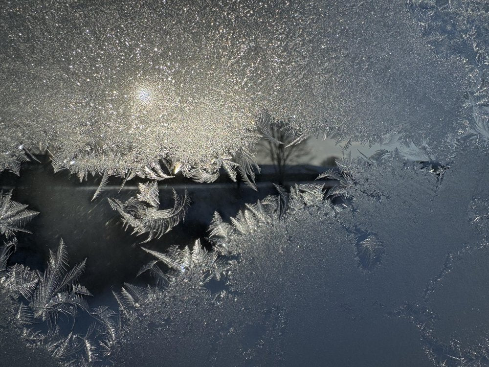 Sunlit Frost Patterns