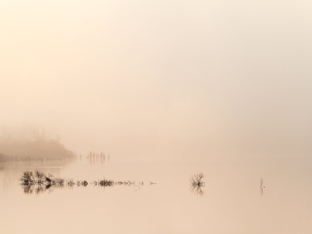Foggy Lake Reflection