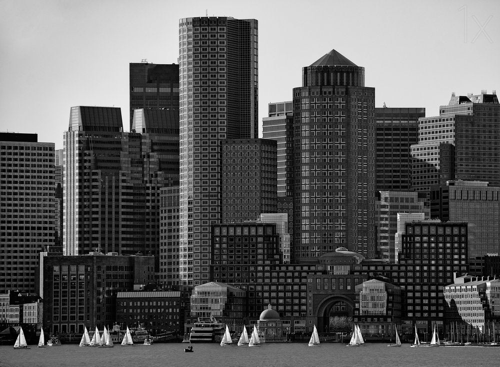 City Harbor Sailboats