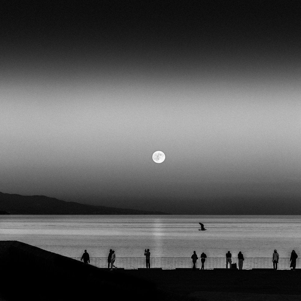 Moonlit Coast Silhouettes