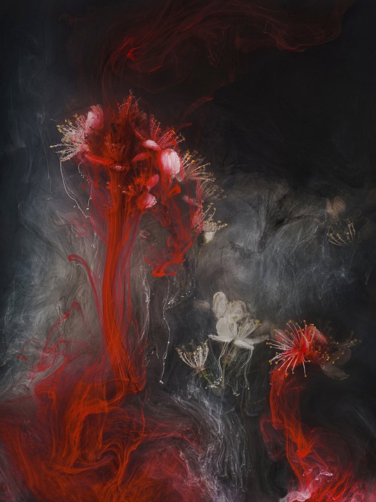 Red Ink Blooms