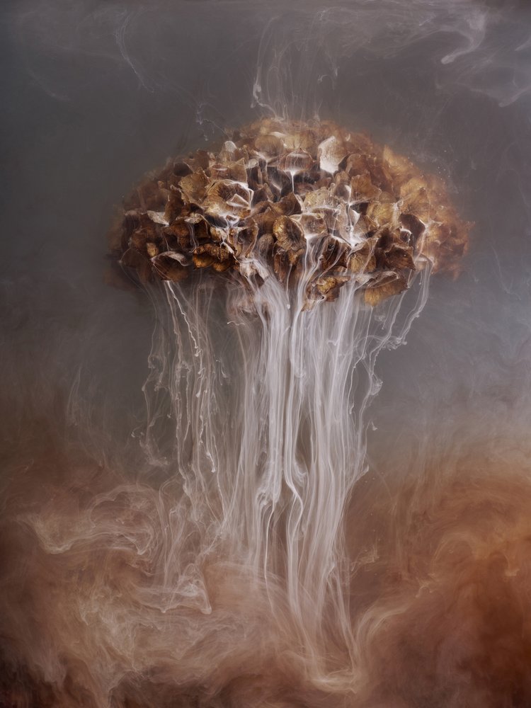 Abstract Ethereal Flow