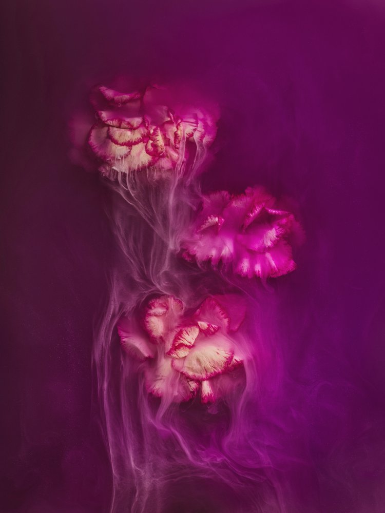Moody Magenta Floral Flow